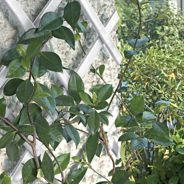 Recinzione A Traliccio Estensibile Gardebruk 200cm - Supporto Per Rampicanti, Divisorio Da Balcone - Foto 12
