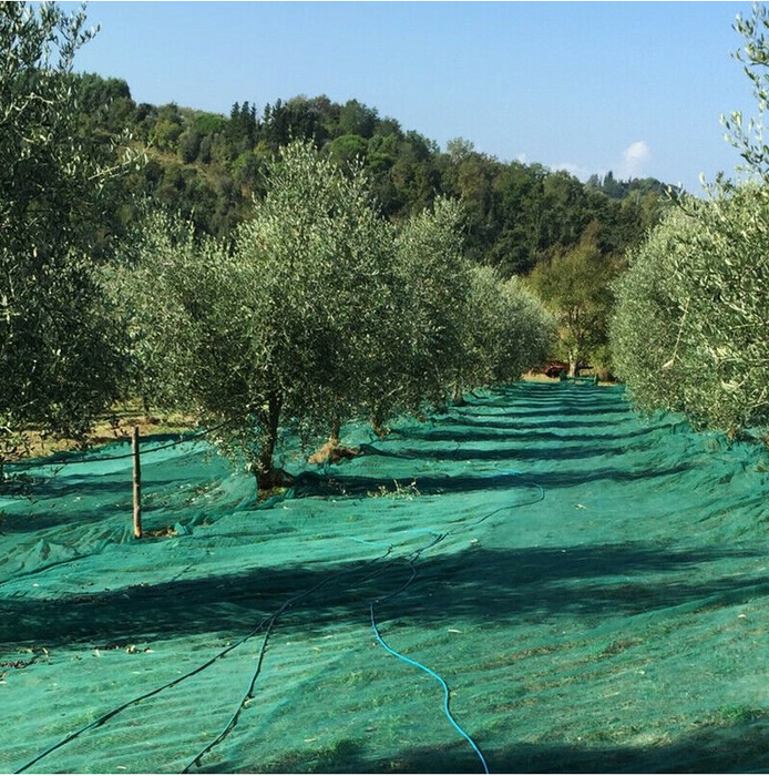 Rete Axel Intera Per Raccolta Olive 90gr Con Angoli Rinforzati - Con Le Api - Bojano - Foto 1