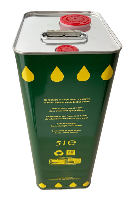Lattine Rettangolari 5 Litri per Olio Extravergine Doppio Tappo ermetico Verde
