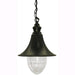Lampada Lanterna Da Giardino Mod. Cigno Nero Con Catena Altezza 60cm.