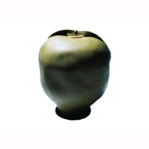 Membrane Gomma Per Sfere/Palla Autoclavi Da 25 Lt.