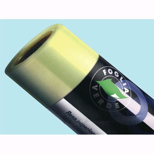 Foglia verde - Altezza mt. 2 - rt. mt. 113