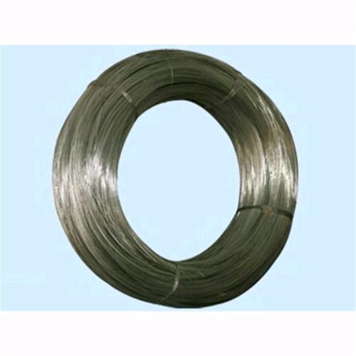 300053_215604_1034897.jpeg