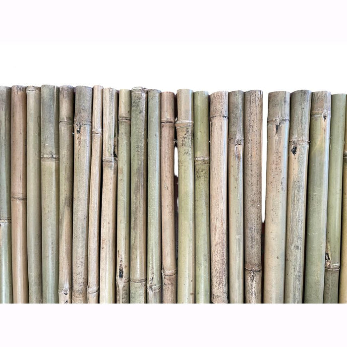 Arella Canna di Bamboo Naturale River per Recinzioni Coperture Privacy - EA  Commerce srl