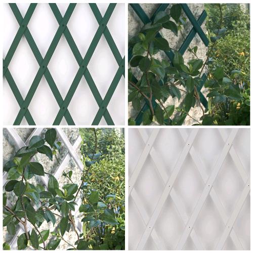 Recinzione A Traliccio Estensibile Gardebruk 200cm - Supporto Per Rampicanti, Divisorio Da Balcone - Foto 9