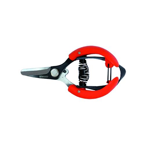 LM-601944_362854_1734519.jpeg