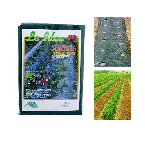 Telo Pacciamatura A Fori Sfalsati 'Senzerba'  Mt 1,2 X 30 - Distanza Fori 30 Cm