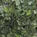EAC_00397_456763_2427603.jpeg