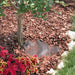 EAC_01538_511108_2440633_4047e8ea-2a47-4bed-b955-bc18e6ce7885.jpeg
